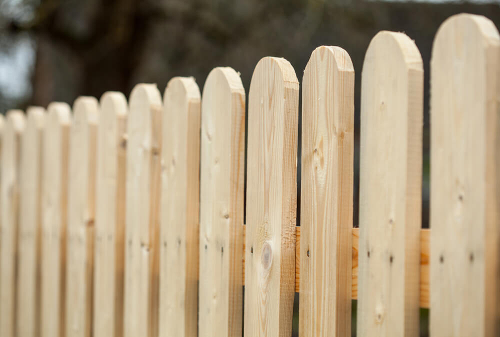 artistic shot along a wooden fence with several ranges of focus