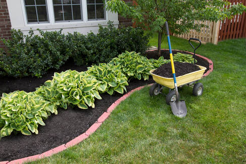 outdoor picture of a nice garden bed with a yellow gardening trolley and shovel on the grass area